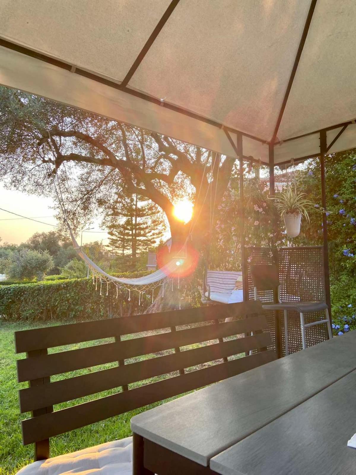 Sunny Garden Daire Plataria Oda fotoğraf