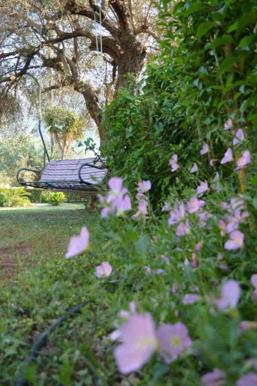 Sunny Garden Daire Plataria Dış mekan fotoğraf