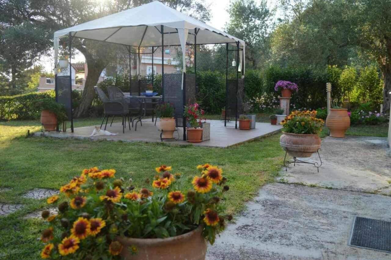 Sunny Garden Daire Plataria Dış mekan fotoğraf