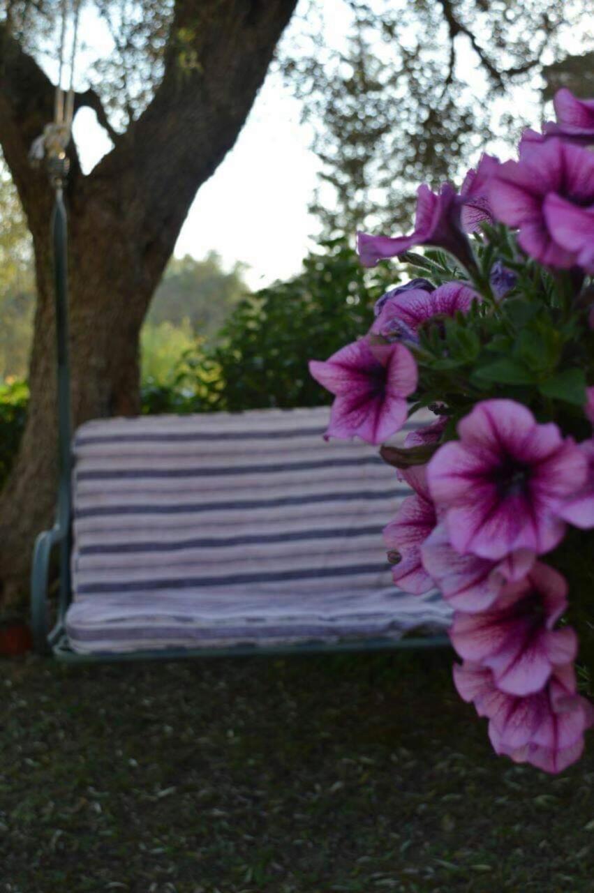 Sunny Garden Daire Plataria Dış mekan fotoğraf