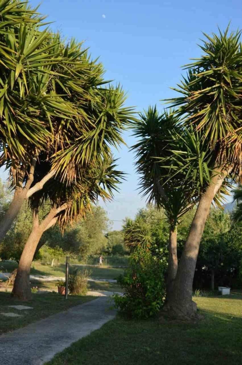 Sunny Garden Daire Plataria Dış mekan fotoğraf