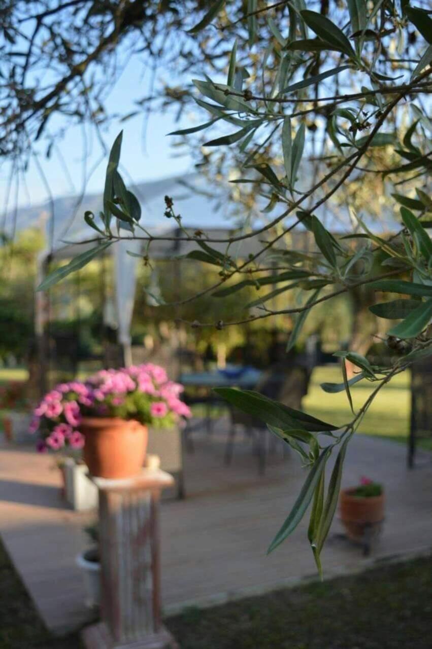 Sunny Garden Daire Plataria Dış mekan fotoğraf